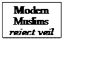 Text Box: Modern
Muslims
reject veil

