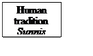 Text Box: Human tradition
Sunnis

